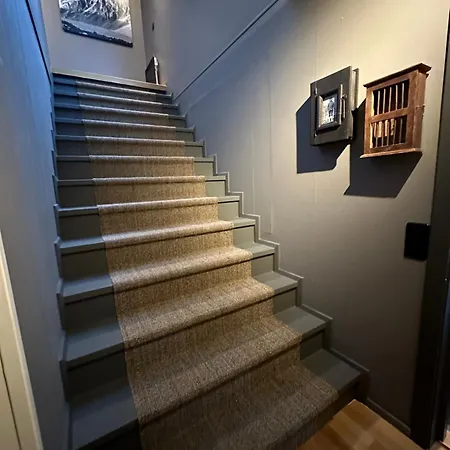 Hemsedal 200m2 /5 Sov/10 Senger/2 Familier * Ulsak