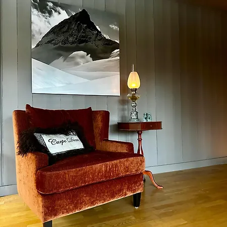 Hemsedal 200m2 /5 Sov/10 Senger/2 Familier Ulsak