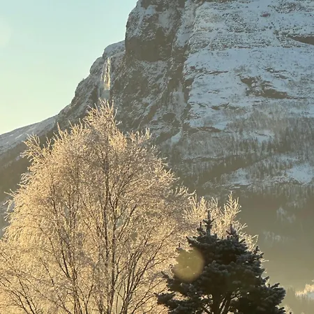 Hemsedal 200m2 /5 Sov/10 Senger/2 Familier * Ulsak