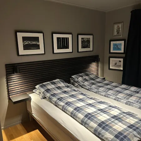 Hemsedal 200m2 /5 Sov/10 Senger/2 Familier * Ulsak