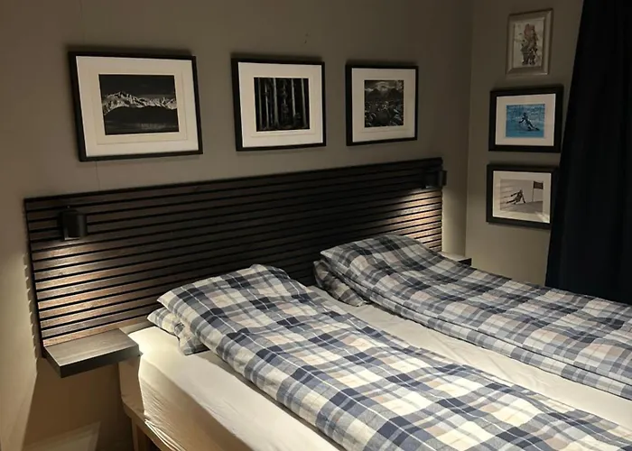 Hemsedal 200m2 /5 Sov/10 Senger/2 Familier * Ulsak